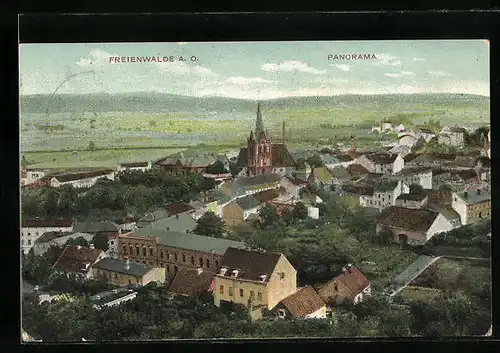 AK Freienwalde /Oder, Panorama des Ortes