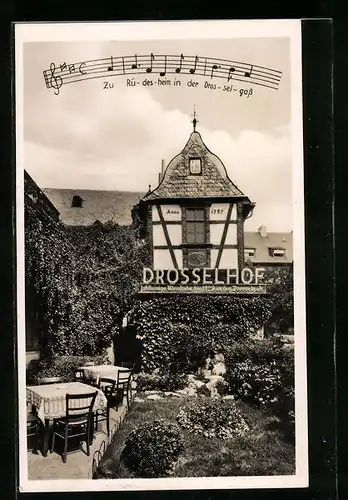 AK Rüdesheim, Weinhaus Der Drosselhof mit Hauslied