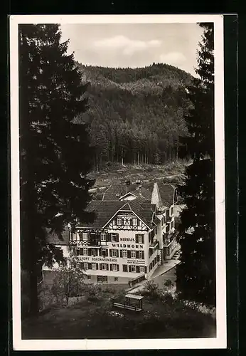 AK Schönmünzach /Schwarzwald, Kurhotel Waldhorn mit waldreicher Umgebung