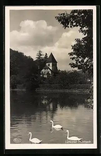 AK Murrhardt, Schwäne im Teich beim Gasthof Sonne-Post
