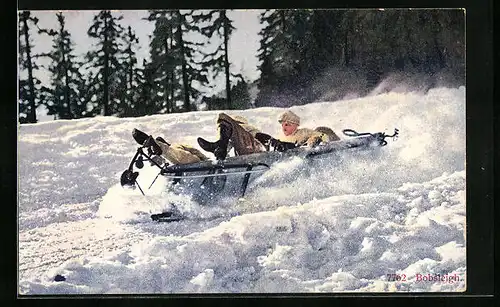 AK Bobsleigh, Männer sind mit dem Schlitten gestürzt