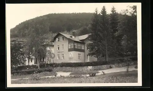 AK Salzerbad, Baslerhaus mit Strasse und Waldblick