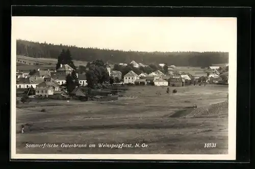 AK Gutenbrunn am Weinspergforst, Panorama des Ortes