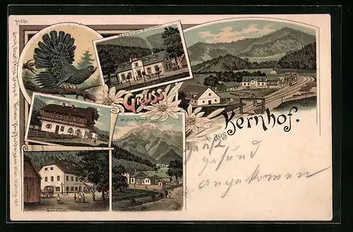 Lithographie Kernhof, Gasthaus Sattelhof, Restaurant Schreiner