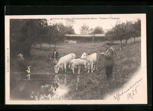 AK Charbonnières-les-Bains, Vaches à l`Abreuvoir