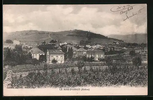 AK Le Bois-d`Oingt, Vue panoramique