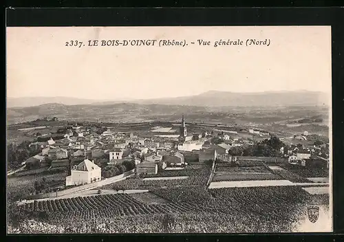 AK Le Bois-d`Oingt, Vue générale (Nord)
