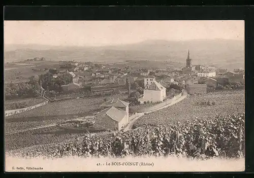 AK Le Bois-d`Oingt, Vue panoramique