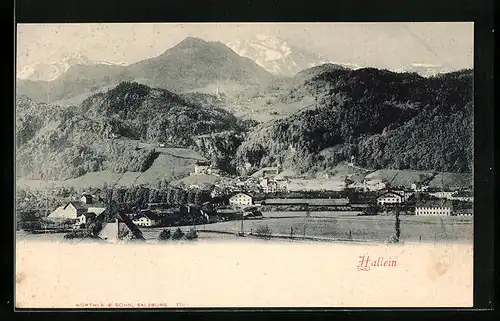 AK Hallein, Ortsansicht aus der Vogelschau