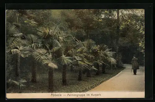 AK Abbazia, Palmengruppe im Kurpark