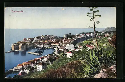 AK Dubrovnik, Gesamtansicht