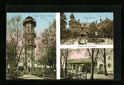 AK Löbau i. Sa., König-Friedrich-August-Turm, Honigbrunnen und Altes Berghaus