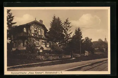 AK Bleidenstadt i. T., Hotel-Pension Haus Kremer
