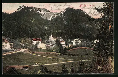 AK Birkenstein, Ortsansicht aus der Vogelschau