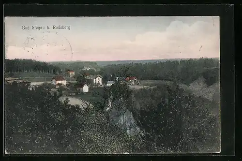 AK Bad Liegau, Ortsansicht aus der Vogelschau