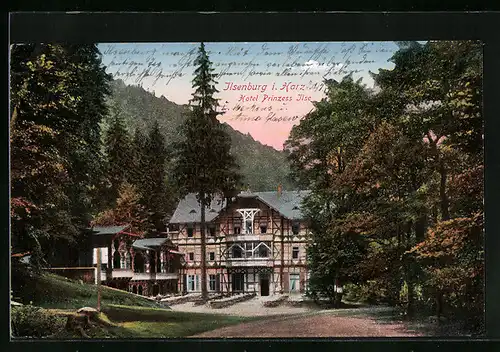 AK Ilsenburg i. Harz, Hotel Prinzess Ilse
