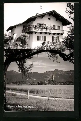 AK Übersee-Feldwies /Chiemsee, Blick zur Kirche, Wohnhaus