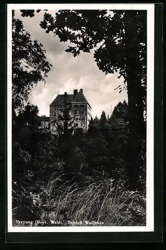 AK Freyung /Bayr. Wald, Schloss Wolfstein