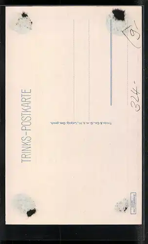 AK Minden i. Westf., Dom