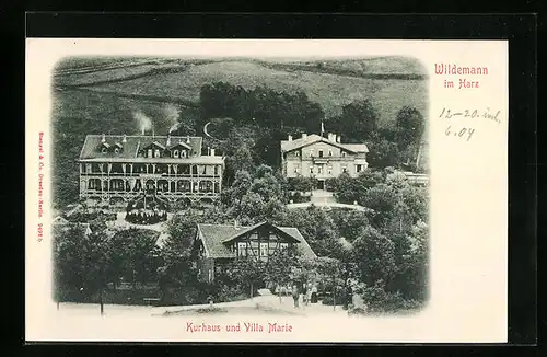 AK Wildemann im Harz, Kurhaus und Villa Marie