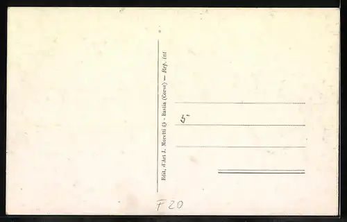 AK Ajaccio, Vue générale