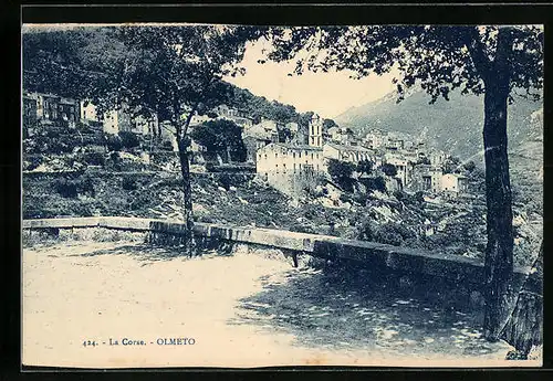 AK Olmeto, Panorama