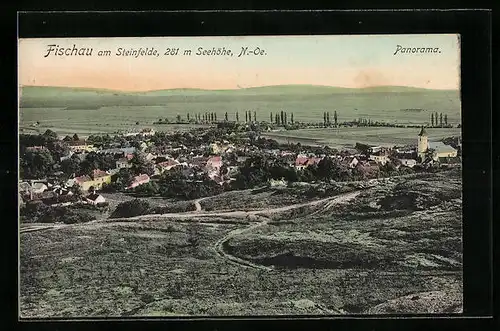 AK Fischau am Steinfelde, Panorama