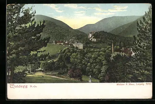 AK Waldegg, Panorama