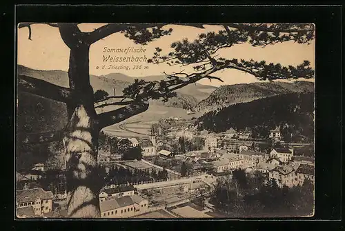 AK Waisenbach a. d. Triesting, Teilansicht mit Baum