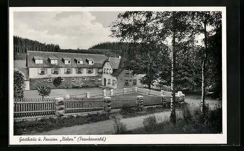 AK Birken /Frankenwald, Gasthaus und Pension Birken