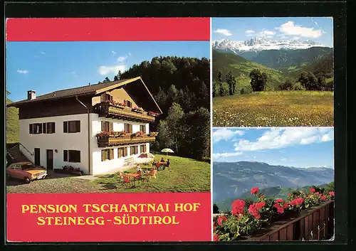 AK Steinegg, Pension Tschantnai Hof in zwei Ansichten mit Landschaftsblick
