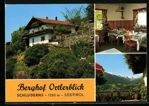 AK Schluderns, Berghof Ortlerblick in drei Ansichten