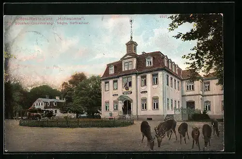 AK Eisenach, Hotel Restaurant Hohesonne