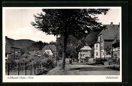 AK Wieda im Harz, Waldstrasse mit Hotel