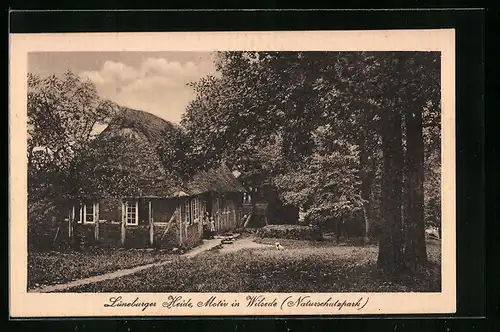 AK Wilsede (Lüneburger Heide), Motiv im Naturschutzpark