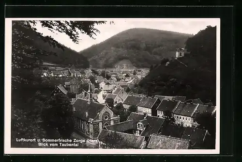 AK Zorge (Harz), Blick vom Taubental