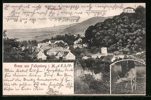AK Falkenberg i. M., Totalansicht