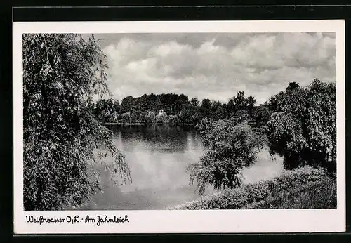 AK Weisswasser /O.-L., Am Jahnteich
