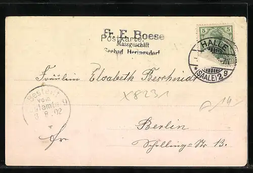 AK Hennersdorf b. Schmiedeberg, Teilansicht
