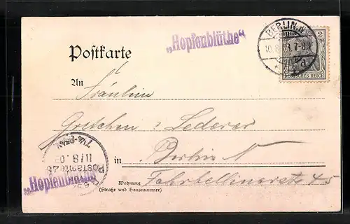 AK Grunewald, Jagdschloss am See