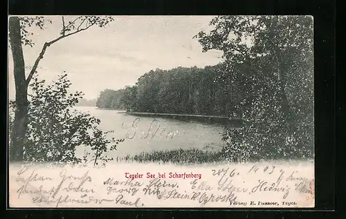 AK Berlin-Scharfenberg, Blick auf dem Tegeler See