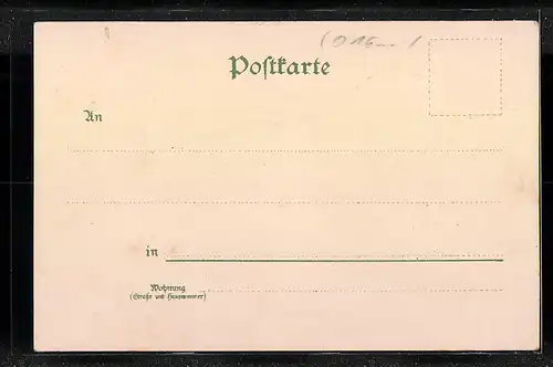 Lithographie Meissen, Kgl. Landesschule St. Afra, Panorama