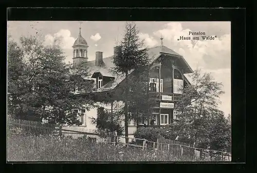 AK Bärenfels /Post Kipsdorf, Hotel-Pension Haus am Walde