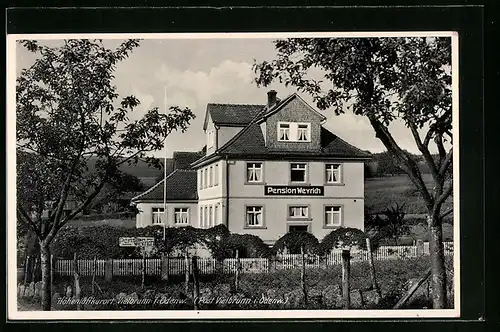 AK Vielbrunn i. Odenw., Blick zur Pension Weyrich
