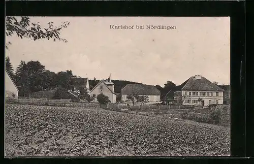 AK Karlshof b. Nördlingen, Ortsansicht mit Feldern