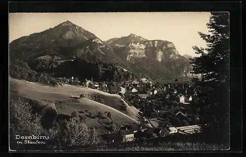 AK Dornbirn, Gesamtansicht mit Staufen