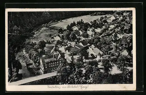 AK Treseburg / Harz, Gesamtansicht, Luftbild