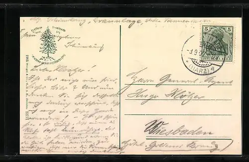 AK Braunlage / Harz, Partie an der Kirche, Rinderherde