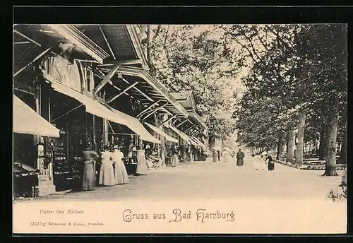 AK Bad Harzburg, Unter den Eichen mit Geschäften