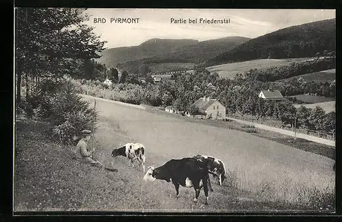 AK Bad Pyrmont, Partie bei Friedenstal